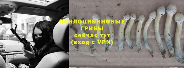 MESCALINE Куйбышев