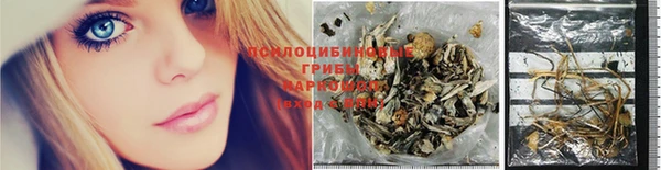 стафф Кулебаки