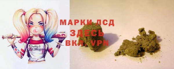 стафф Кулебаки