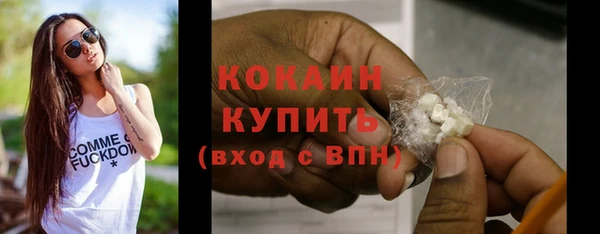 стафф Кулебаки