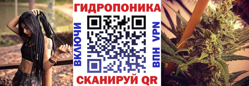 Канабис ГИДРОПОН  Купить где  Иннополис 